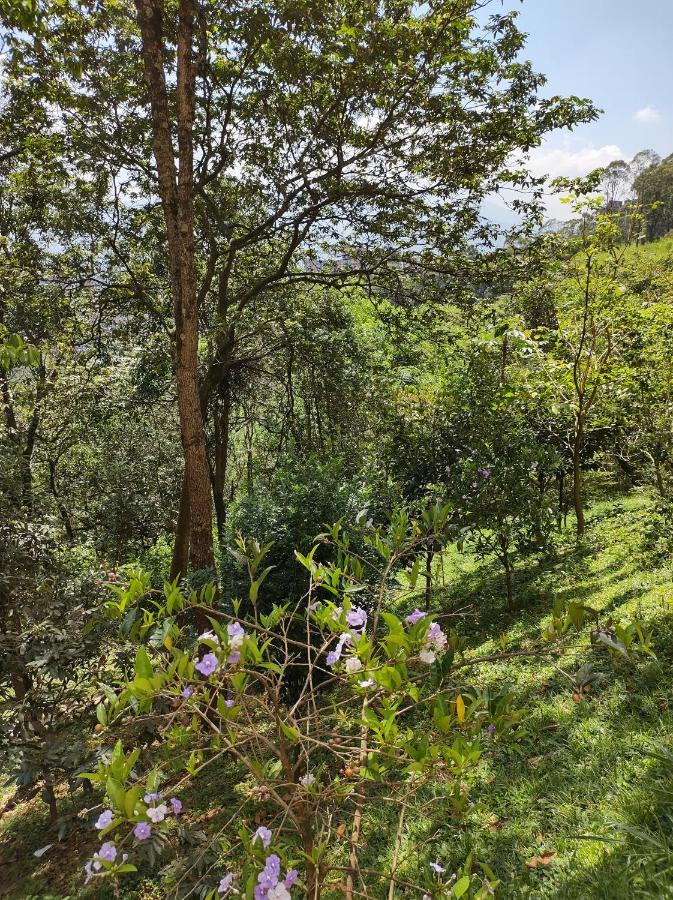 Hermoso Apartamento Con Vista A Todo Medellín Eksteriør bilde